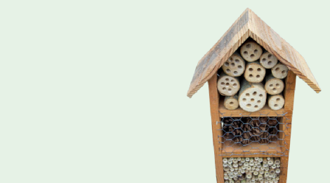 Jardin et extérieur